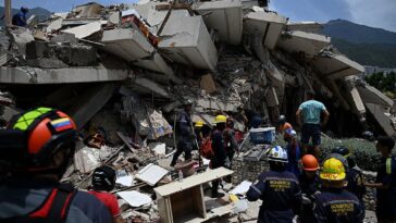 watch:-rescuers-pull-dog-from-rubble-as-earthquake-death-toll-rises