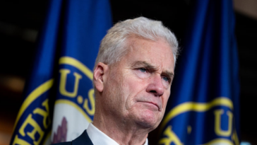 watch-—-rep-tom-emmer:-somalis-who-do-not-assimilate-in-us.-should-‘go-the-hell-back-to-where-they-came-from’