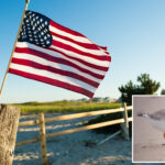 homeowners-in-coastal-town-fuming-at-warning-against-july-4-flags-that-could-harm-endangered-birds