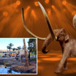 la’s-iconic-la-brea-tar-pits-museum-to-host-disco-bash-ahead-of-2-year-closure