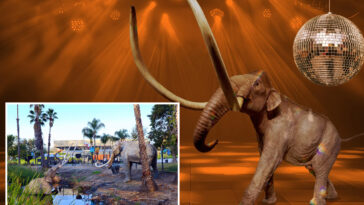 la’s-iconic-la-brea-tar-pits-museum-to-host-disco-bash-ahead-of-2-year-closure