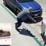 california-city-faces-staggering-$35m-lawsuit-over-70-year-old’s-streetside-tumble