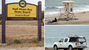 beachside-horror-as-lifeguard-in-pickup-truck-drives-over-sunbather-as-witnesses-look-on