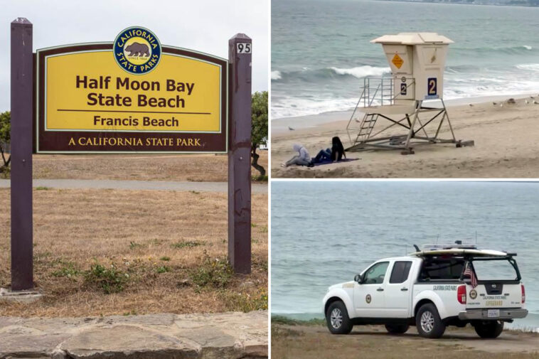beachside-horror-as-lifeguard-in-pickup-truck-drives-over-sunbather-as-witnesses-look-on