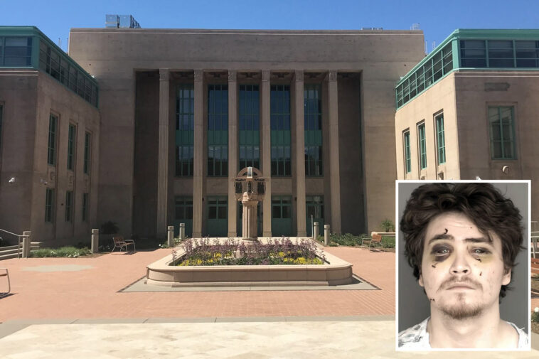 ‘obsessed’-gamer-posing-as-amazon-driver-learns-fate-for-attempted-murder-of-california-couple
