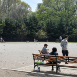 man-dead,-another-critical-after-double-stabbing-at-brooklyn-park-as-police-detain-person-of-interest:-nypd