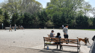 man-dead,-another-critical-after-double-stabbing-at-brooklyn-park-as-police-detain-person-of-interest:-nypd