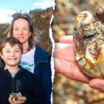boy-stumbles-on-strange-beach-object-identified-as-rare-1.8m-year-old-fossil