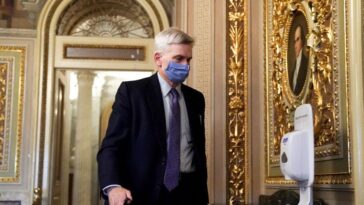 trump-backed-candidate-clinches-louisiana-gop-senate-runoff