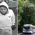 nyc-neighborhood-in-fear-after-13-year-old-girl-becomes-latest-victim-of-troubling-local-rape-spike:-‘it’s-a-jungle’