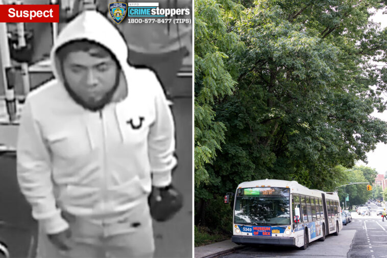 nyc-neighborhood-in-fear-after-13-year-old-girl-becomes-latest-victim-of-troubling-local-rape-spike:-‘it’s-a-jungle’