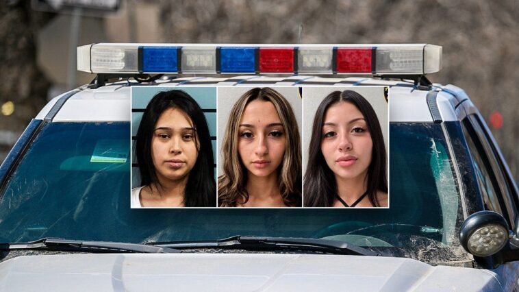 sisters,-friend-charged-in-texas-mom’s-stabbing-death