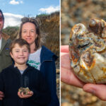 11-year-old-uk-boy-finds-1.8m-year-old-elephant-tooth-on-beach-in-wild-coincidence