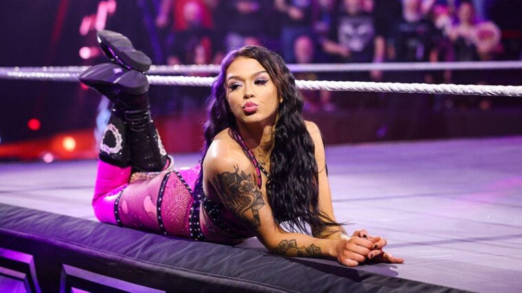 tna-introduces-knockouts-tv-championship-at-slammiversary