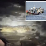 video-shows-crocodile-that-killed-puerto-vallarta-man-in-front-of-california-couple-—-as-new-details-emerge