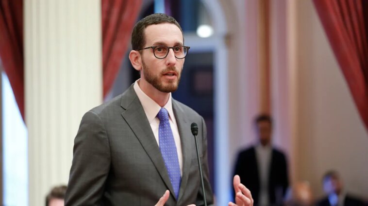 pro-israel-democrat-california-state-senator-heckled-at-trans-march-over-gaza,-‘we-f—ing-hate-you’
