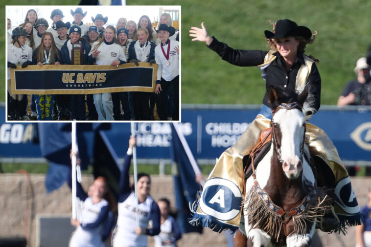 uc-davis-cuts-entire-equestrian-team-—-then-furious-parents-investigated