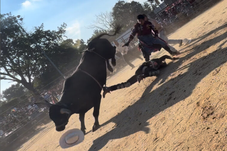 bull-rider,-25,-hospitalized-after-being-trampled-by-bovine-at-nyc-rodeo-event:-wild-video