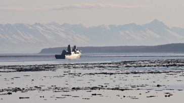 marine-missing-from-uss-anchorage-now-focus-of-recovery-mission-off-california-coast