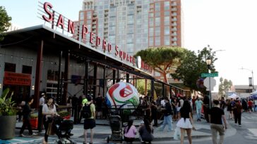 one-killed-in-shooting-at-site-of-california-world-cup-fan-zone  