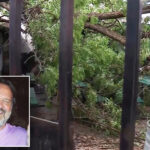lawsuit-filed-after-tree-dubbed-‘widow-maker’-fatally-crushes-texas-father-at-bbq-restaurant