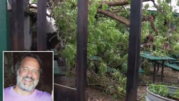 lawsuit-filed-after-tree-dubbed-‘widow-maker’-fatally-crushes-texas-father-at-bbq-restaurant