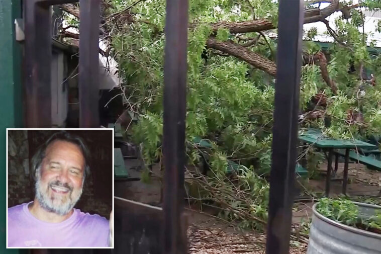 lawsuit-filed-after-tree-dubbed-‘widow-maker’-fatally-crushes-texas-father-at-bbq-restaurant
