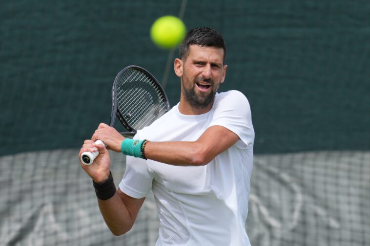 wimbledon-picks:-novak-djokovic-vs.-yibing-wu-predictions,-odds,-picks,-best-bet