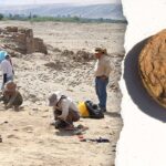 archaeologists-uncover-freeze-dried-potatoes-older-than-the-us-in-‘excellent’-condition