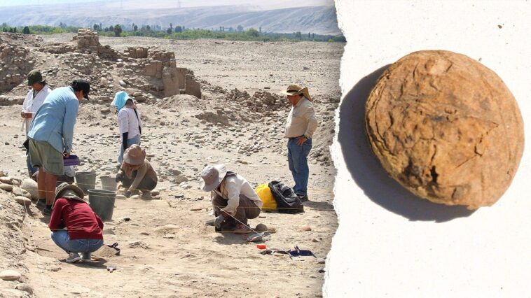 archaeologists-uncover-freeze-dried-potatoes-older-than-the-us-in-‘excellent’-condition