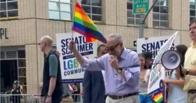chuck-schumer-gets-viciously-booed-by-his-own-side-at-the-nyc-pride-parade-(video)