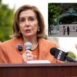 nancy-pelosi’s-post-congress-job-revealed:-‘liberation’