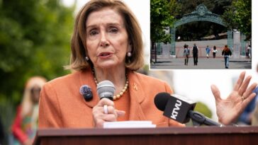 nancy-pelosi’s-post-congress-job-revealed:-‘liberation’