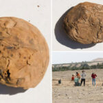 archaeologists-uncover-freeze-dried-potatoes-older-than-the-us-in-‘excellent’-condition