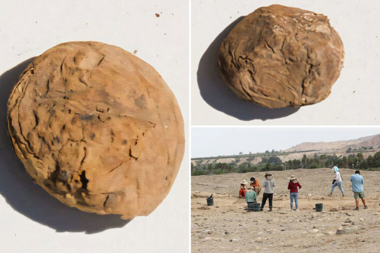 archaeologists-uncover-freeze-dried-potatoes-older-than-the-us-in-‘excellent’-condition