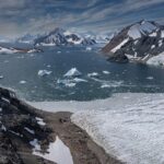 antarctic-sea-creatures-may-hold-key-to-fighting-deadly-cancer
