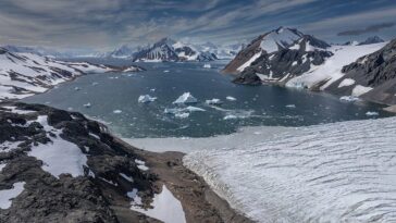 antarctic-sea-creatures-may-hold-key-to-fighting-deadly-cancer