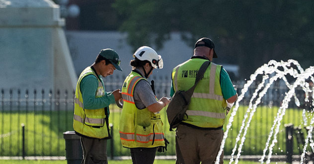 report:-trump-to-plant-trees-in-lafayette-square,-reaching-47