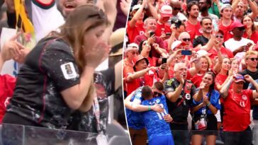 canada-world-cup-fan’s-phone-goes-flying-while-doing-the-wave