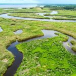 weekend-alligator-attacks-leave-florida-woman-dead,-child-injured