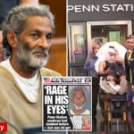 deranged-penn-station-slasher’s-victims-desperately-tried-to-fight-back,-one-with-a-backpack:-da