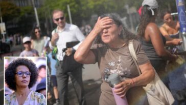 paris-official-blames-americans-and-their-air-conditioning-for-europe-heat-wave-that-has-killed-1,300-people