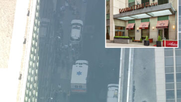 bear-spray-unleashed-at-nyc-hotel,-injuring-8,-during-fight-between-nyc-pride-revelers