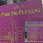 canadian-street-signs-promote-‘pubic-squares’-in-cringeworthy-gaffe:-‘this-is-bad’