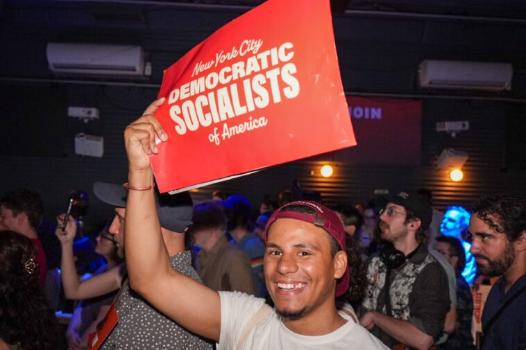dsa-sat-out-every-li-election-this-month-—-but-a-planned-takeover-is-coming:-experts