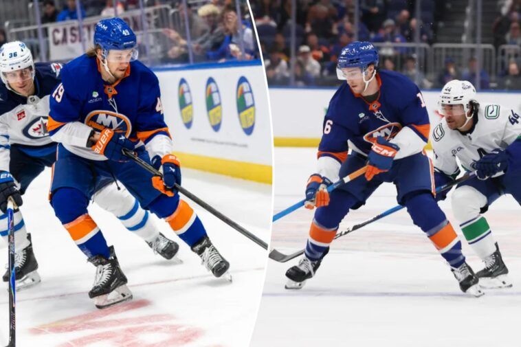 islanders-don’t-extend-qualifying-offers-to-marc-gatcomb,-max-shabanov-or-adam-boqvist