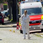 gunman-kills-6-at-youth-welfare-facility-in-suspected-child-custody-dispute:-reports