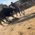 bronx-rodeo-where-rider-was-hurled-from-bull-and-trampled-on-didn’t-have-permit:-report