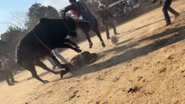 bronx-rodeo-where-rider-was-hurled-from-bull-and-trampled-on-didn’t-have-permit:-report