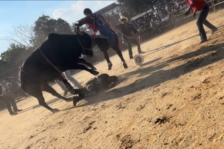 bronx-rodeo-where-rider-was-hurled-from-bull-and-trampled-on-didn’t-have-permit:-report